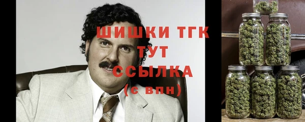 таблы Новозыбков