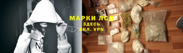 таблы Новозыбков