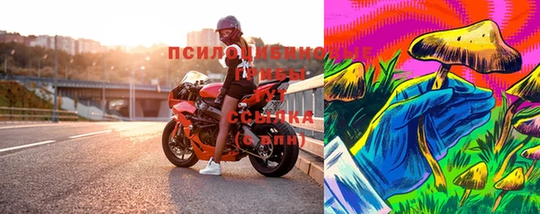таблы Новокубанск
