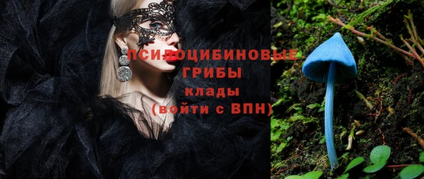 соль ск Новодвинск
