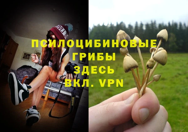 таблы Новокубанск