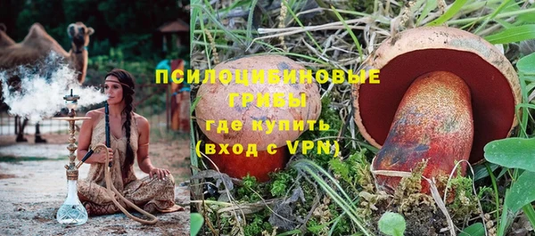 соль ск Новодвинск