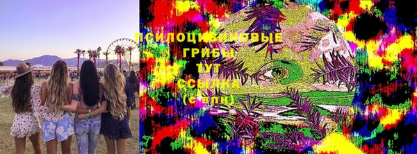 таблы Новокубанск
