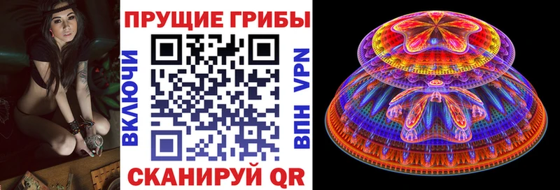 Псилоцибиновые грибы Magic Shrooms  магазин продажи   Устюжна 